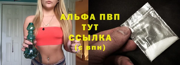 спиды Билибино