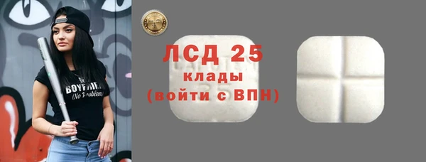 ГАЛЛЮЦИНОГЕННЫЕ ГРИБЫ Волосово