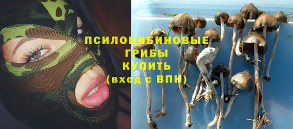 мяу мяу кристалл Ельня