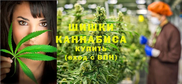 ГАЛЛЮЦИНОГЕННЫЕ ГРИБЫ Волосово