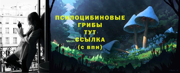 ГАЛЛЮЦИНОГЕННЫЕ ГРИБЫ Волосово