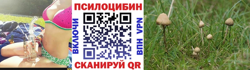 Псилоцибиновые грибы прущие грибы  kraken зеркало  Вязьма 