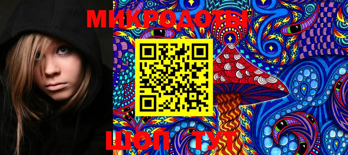 Галлюциногенные грибы Psilocybe  наркошоп  Вязьма 