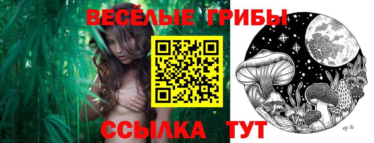Псилоцибиновые грибы прущие грибы Вязьма